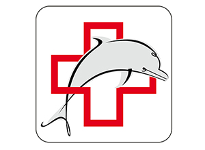 Delphin Sanitätshäuser zur Übersicht 